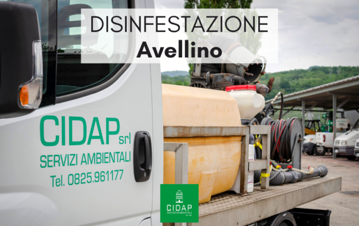 Disinfestazione Avellino Maggio 2020