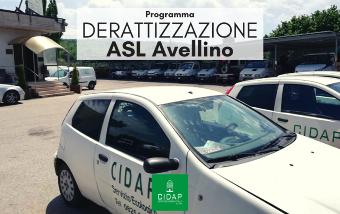 Programma derattizzazione Asl Avellino Maggio Giugno 2020