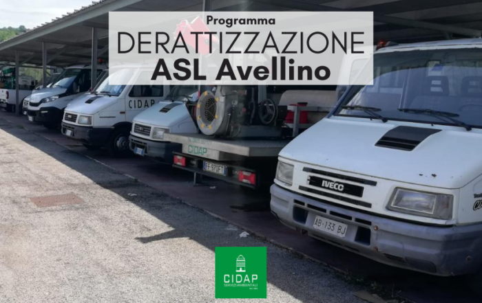 Programma derattizzazione Asl Avellino agosto 2020