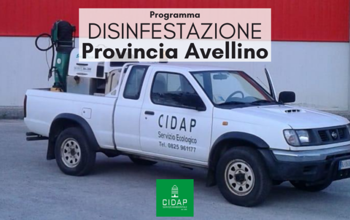 Programma disinfestazione Provincia Avellino luglio agosto 2020