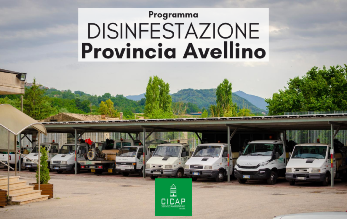 Programma disinfestazione ad azione adulticida Provincia di Avellino Giugno 2020