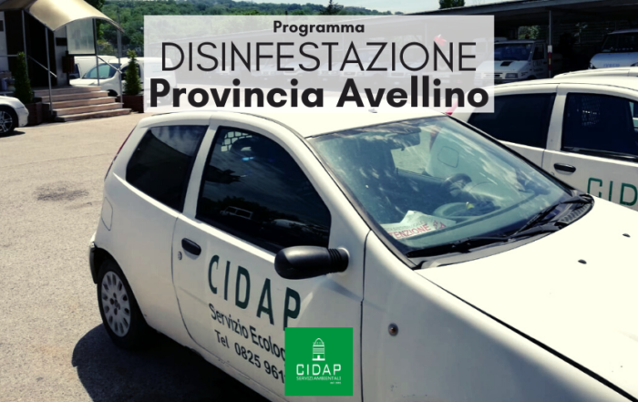 Programma disinfestazione Provincia Avellino settembre 2020