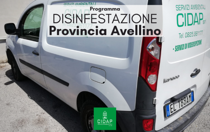 Provincia Avellino, programma di disinfestazione ottobre 2021