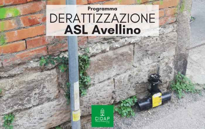 Programma derattizzazione ASL Avellino luglio 2022