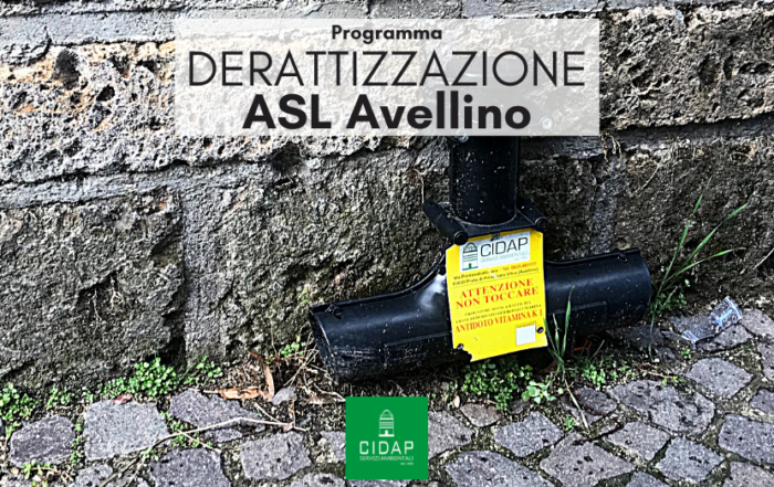 Programma derattizzazione ASL Avellino Ottobre 2022