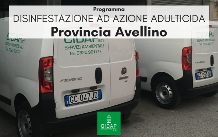 Provincia Avellino, programma di disinfestazione ad azione adulticida giugno/luglio 2023