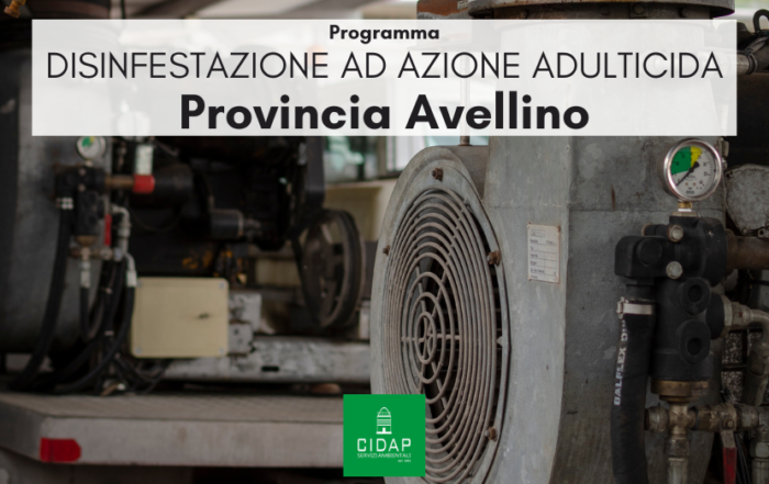 Provincia Avellino, programma di disinfestazione ad azione adulticida luglio/agosto 2023