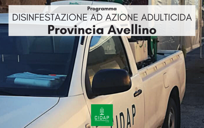 Provincia Avellino, programma di disinfestazione ad azione adulticida agosto/settembre 2023