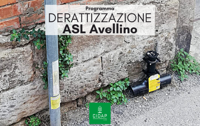 Programma derattizzazione ASL Avellino Ottobre 2023