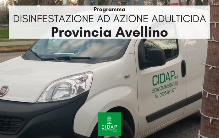 Provincia Avellino, programma di disinfestazione ad azione adulticida settembre 2023