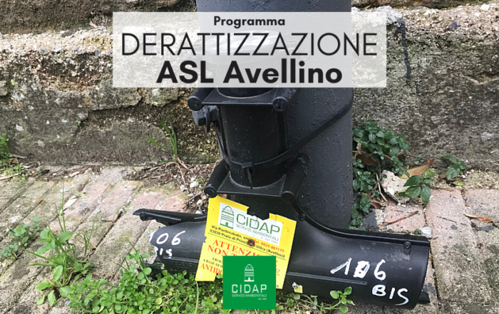 Programma derattizzazione ASL Avellino febbraio 2024