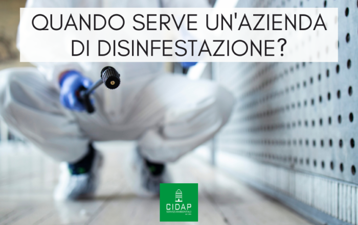 Quando chiamare azienda disinfestazione professionale