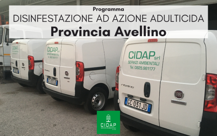 Provincia Avellino, programma di disinfestazione ad azione adulticida giugno 2024