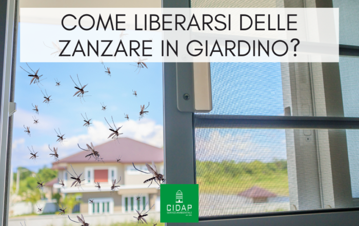 Come liberarsi delle zanzare in giardino: rimedi efficaci