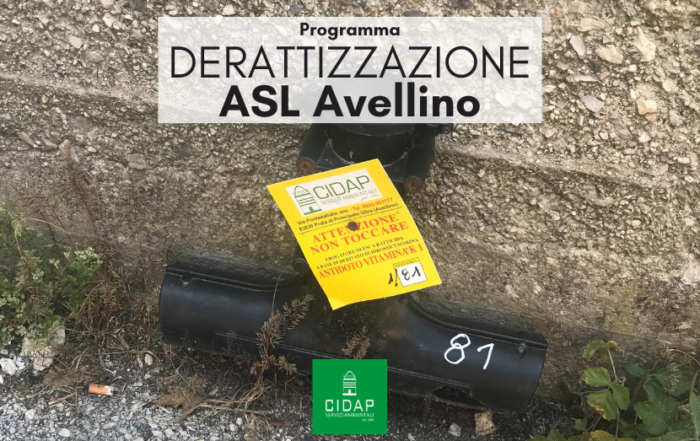 Programma derattizzazione ASL Avellino luglio 2024