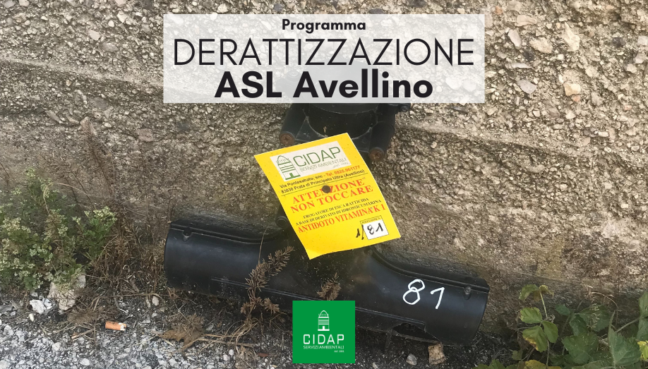 Programma derattizzazione ASL Avellino luglio 2024