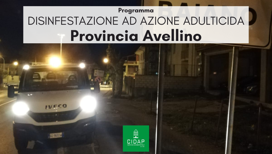 Provincia Avellino, programma di disinfestazione ad azione adulticida luglio 2024