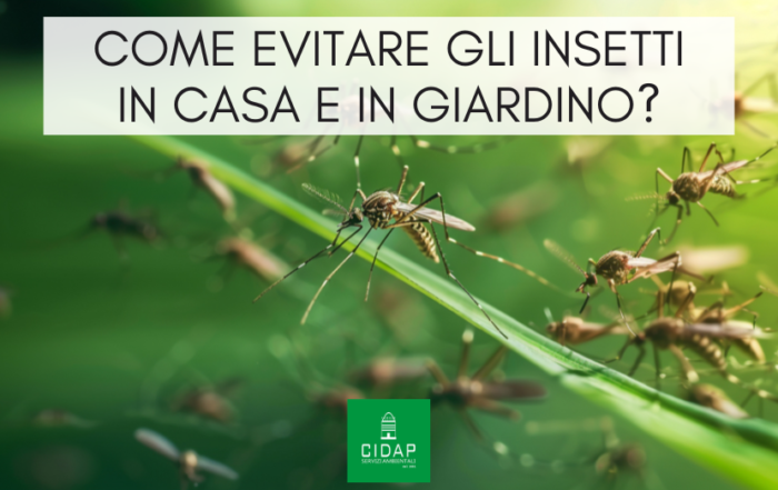 Come prevenire infestazioni insetti in casa e giardino
