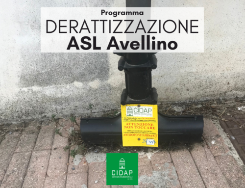 Programma derattizzazione ASL Avellino agosto 2024