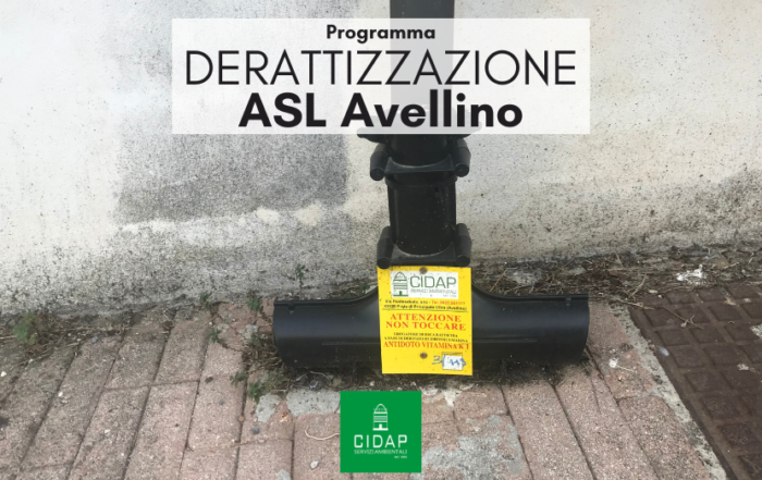 Programma derattizzazione ASL Avellino agosto 2024