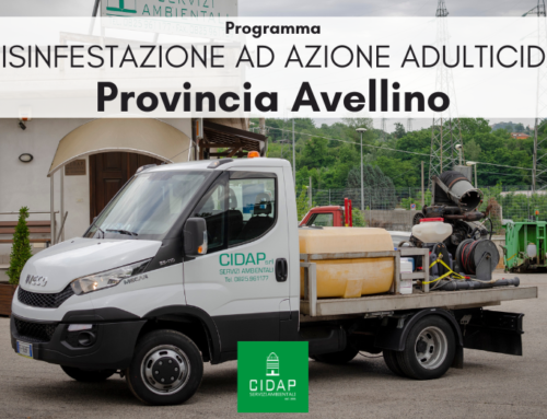 Provincia Avellino, programma di disinfestazione ad azione adulticida luglio/agosto 2024