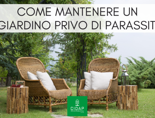 Come mantenere un giardino sano e privo di parassiti