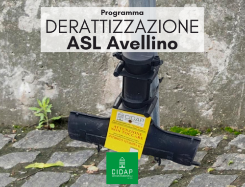 Programma derattizzazione ASL Avellino settembre 2024