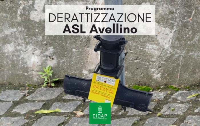 Programma derattizzazione ASL Avellino settembre 2024