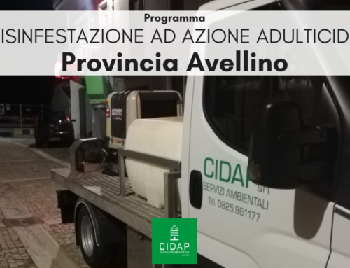 Provincia Avellino, programma di disinfestazione ad azione adulticida settembre 2024