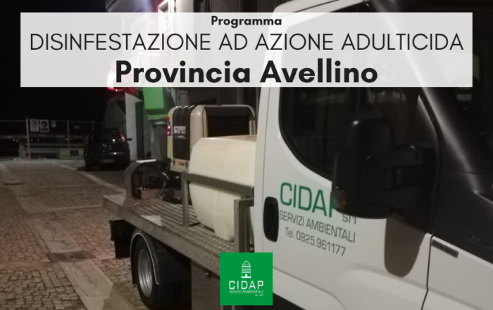 Provincia Avellino, programma di disinfestazione ad azione adulticida settembre 2024