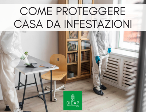 Come proteggere la casa dalle infestazioni: strategie preventive e soluzioni efficaci