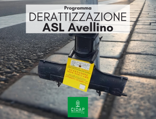 Programma derattizzazione ASL Avellino ottobre 2024