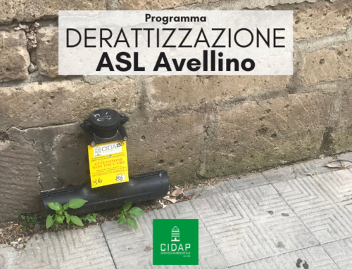 Programma derattizzazione ASL Avellino novembre 2024