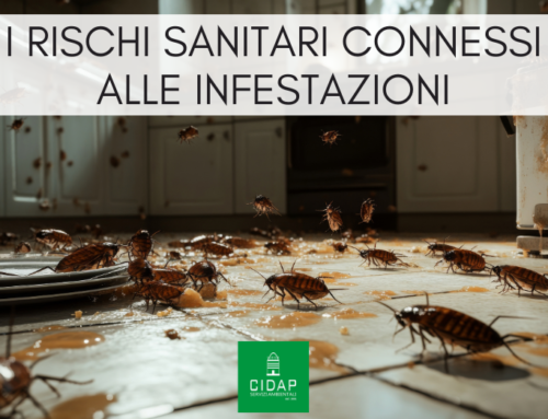 I rischi sanitari connessi all’infestazione di insetti e roditori