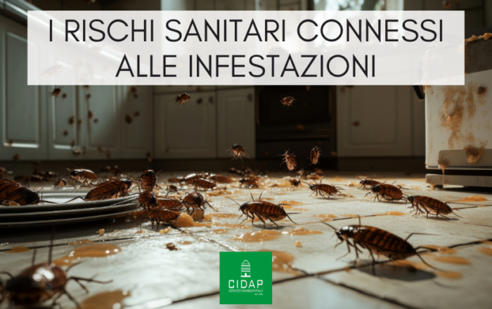 Rischi sanitari connessi alla infestazione di insetti e roditori