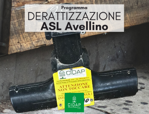 Programma derattizzazione ASL Avellino dicembre 2024