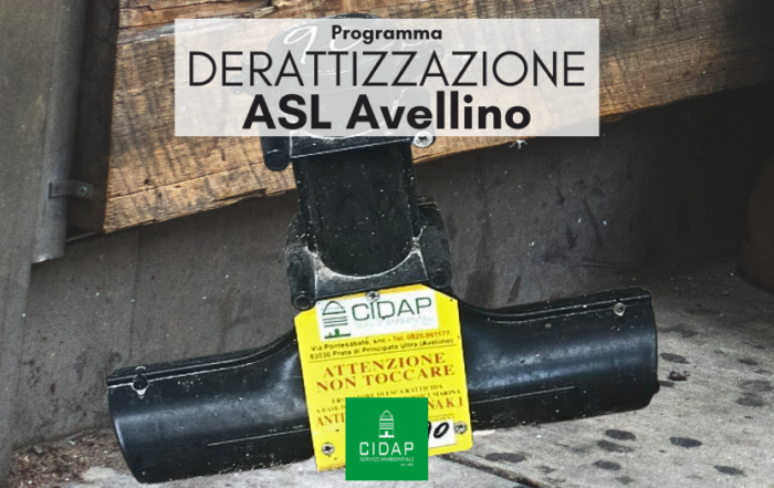 Programma derattizzazione ASL Avellino dicembre 2024