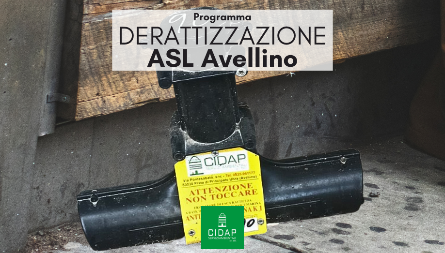 Programma derattizzazione ASL Avellino dicembre 2024