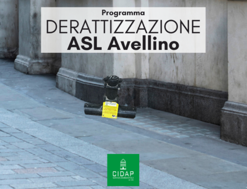 Programma derattizzazione ASL Avellino marzo 2025